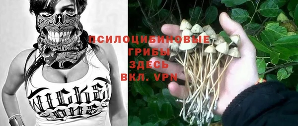 2c-b Алексин